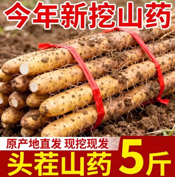 正宗铁棍山药新鲜小白嘴山药铁杆旗舰店淮山铁棍山药紫麻三药蔬菜